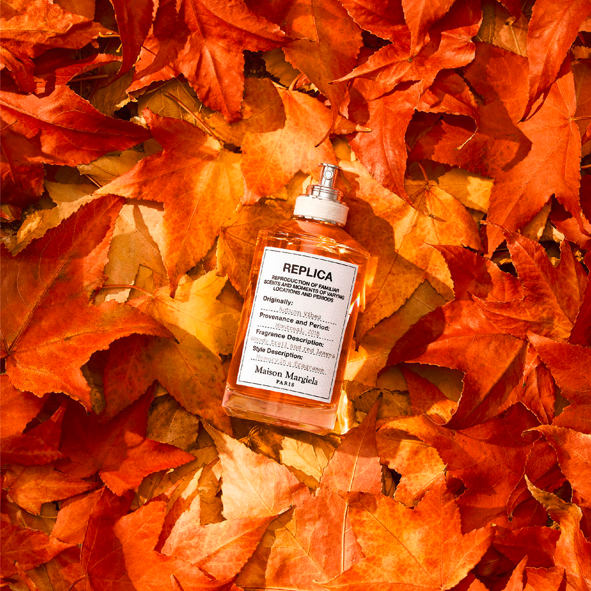 Eau De Toilette Maison Margiela Replica Autumn Vibes 100ml - Woody Spicy Unisex Fragrance