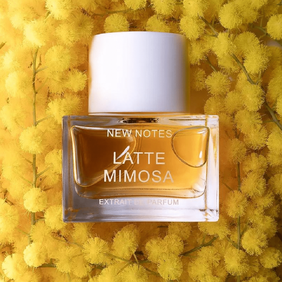 Extrait De Parfum Latte Mimosa New Notes 50ml - Unisex Floral Fragrance