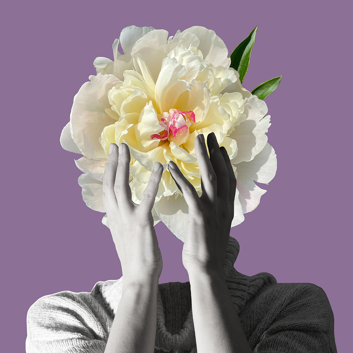 Osmanto Shock Extrait De Parfum New Notes - Unisex Floral Woody Musk Άρωμα 50ml