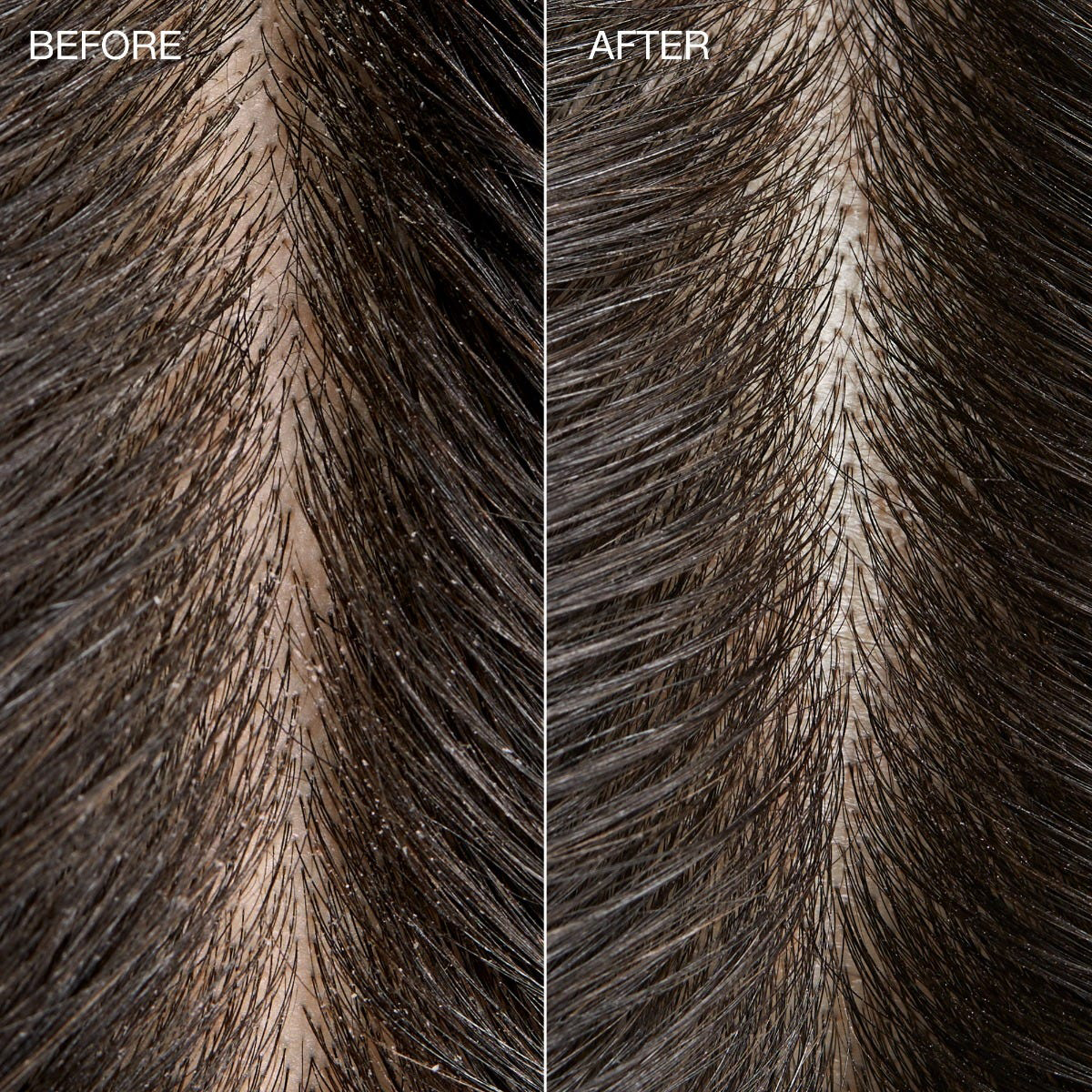 Tea Tree Special Detox Paul Mitchell - Απολεπιστικό Scrub Τριχωτού - Ηφαιστειακή Άμμο