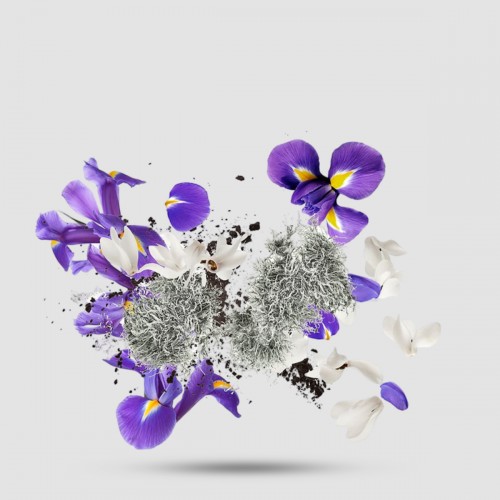 Xerjoff Apollonia 50ml Eau de Parfum - Unisex Floral Άρωμα με Ίριδα